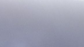 Pizarro ya había sido campeón con Chivas y Pachuca.