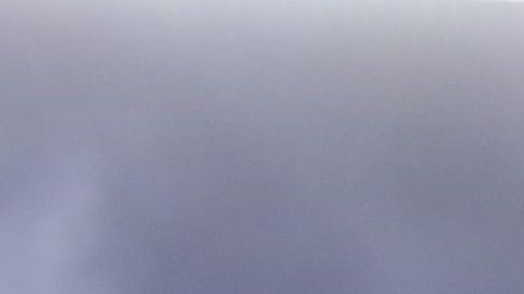 Pizarro ya había sido campeón con Chivas y Pachuca.