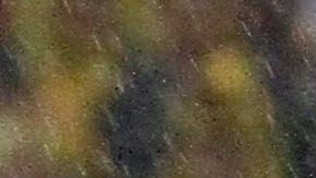 Miguel Layún anotó el penal definitivo que le dio el campeonato al América en el Clausura 2013.