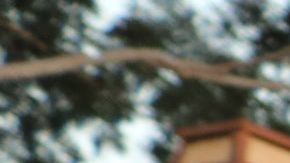 La medida trataba de echar a inquilinos basándose en denuncias.