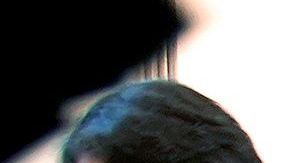 Ford impulsando sueños