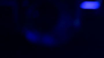 Jay-Z cumplió 50 años