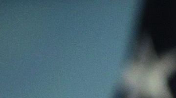 John Perry apoya la candidatura de Joe Biden.