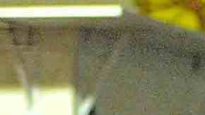 Más de 200 juguetes recaudó la porra Sector Latino en su tradicional evento ‘Toy Drive’. (Javier Quiroz / La Raza)