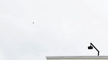 Necesitas tener una buena cantidad de dinero para iniciar un negocio de este tipo.