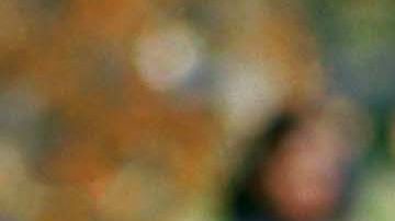 Reese Witherspoon protagonizó "Legally Blonde"