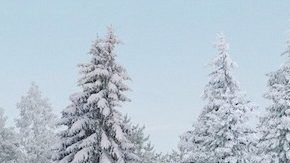 Lexus lleva 20 años llevando a cabo su campaña de "December remember"