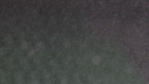 Diego Láinez anotó su primer gol en esta temporada.