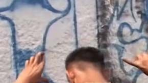 Expertos coinciden en que para atajar el problema de la MS-13 hacen falta estrategiass más comprensivos.