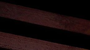 Un diseñador gráfico le dijo a los ejecutivos de la compañía que la 'M' tenía un significado freudiano.