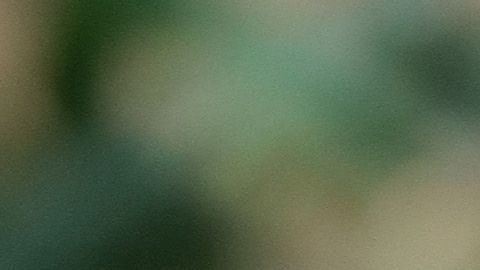 Meghan Markle y el príncipe Harry.