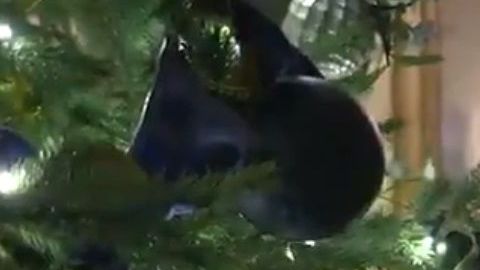 La Primera Dama compartió un video en su cuenta de Twitter.