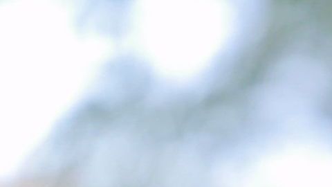 Agustín Marchesín cosechó un éxito más en la Liga Nos.