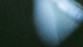 Los frijoles se destacan por su alto contenido en fibra y carbohidratos de lenta absorción. Son un alimento que no puede faltar en una dieta equilibrada.