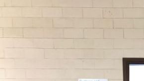 Decomiso de  81 paquetes de marihuana valorada en casi 1 millón de dólares.