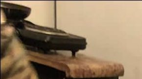 Droga y salida del narcotúnel.