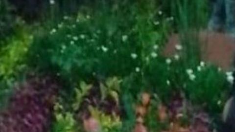 Nazaret Bautista Lara