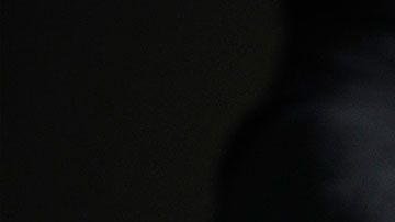 Con estas reglas, podrías obtener mejores beneficios en tu próximo empleo.