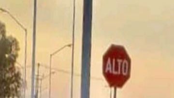 Mujer ejecutada en Guanajuato