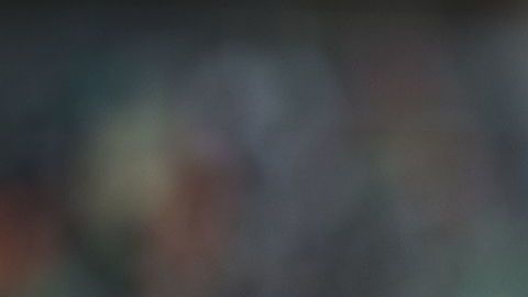 Javier Hernández no será refuerzo de Chivas para el Clausura 2019.