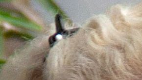 Niurka Marcos y Emilio Osorio