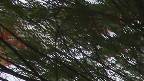 La sede de la constructora Odebrecht en Sao Paulo, Brasil.