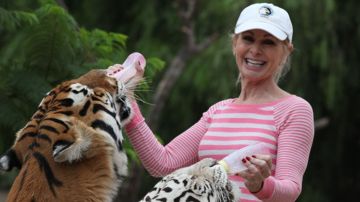 Patty Perry y sus tigres.