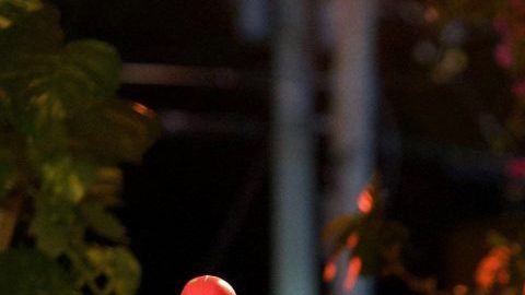 Paulina Rubio lanza el sencillo De Qué Sirve