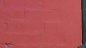 Zymere Perkins  tenía 6 años