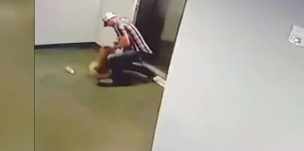 El rescate ocurrió el lunes pasado.