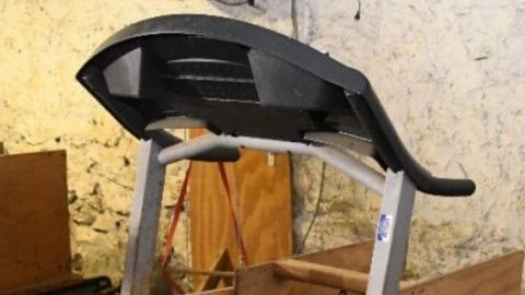 Animales enjaulados decomisados