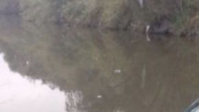 Narcos atacan a soldados mexicanos y terminan con troca hundida en río y arsenal decomisado