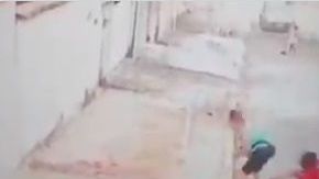 Niño es atacado por un perro pitbull.