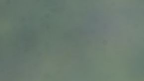 José María Basanta igualó el récord de CR7 de participaciones y partidos en un Mundial de Clubes.