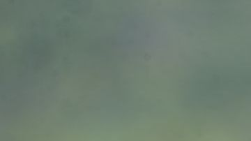 José María Basanta igualó el récord de CR7 de participaciones y partidos en un Mundial de Clubes.