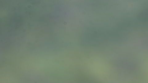 José María Basanta igualó el récord de CR7 de participaciones y partidos en un Mundial de Clubes.