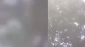 Captura del presunto ladrón.