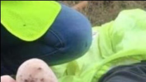 Indocumentado perdido cinco días en la frontera.