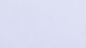 Doctor shows kidney.