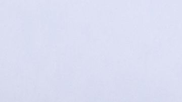 Doctor shows kidney.