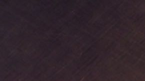 José Ron es 'Ringo'