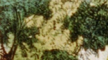 Imagen clásica de la obra Robison Crusoe.