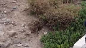 Lizbeth Rodríguez  se comió unos  "Cheetos" de un bote de basura en la playa.