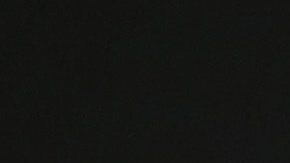 Netflix "Roma" Premiere