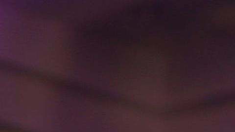 La gira con Aventura tras 10 años de separación será en 2020