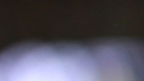 Rivera se fue de Carolina con registro de 76-63-1 y en cuatro oportunidades disputó los playoffs.