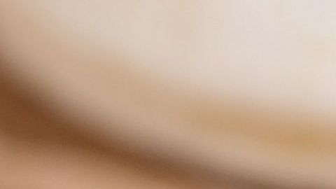 El camote es un alimento versátil con grandes beneficios para fortalecer el sistema inmune y combate el estrés positivamente.