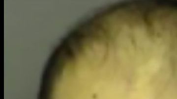 Miguel Almanza Solorio u José Sandoval.