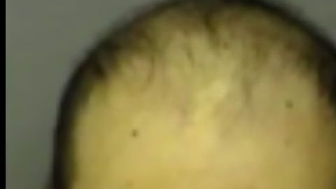 Miguel Almanza Solorio u José Sandoval.