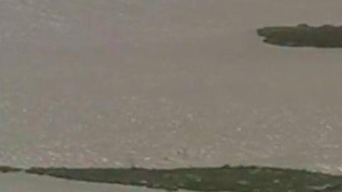 Escena del accidente en Texas en febrero.